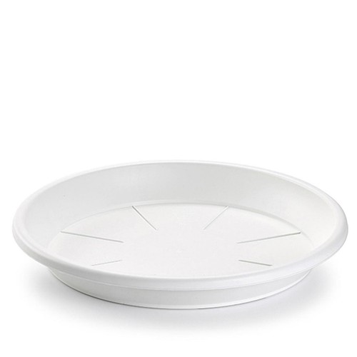 Plant pot saucer tray - pot,