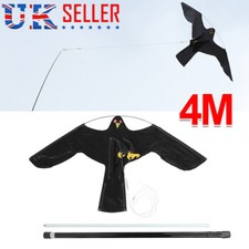 Flying hawk kite garden bird - flying,