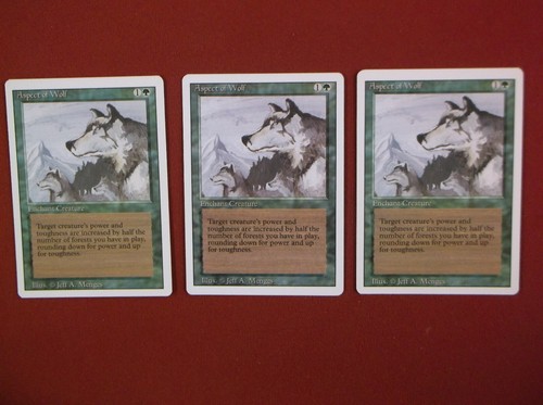 Mtg aspect wolf s - mtg, of