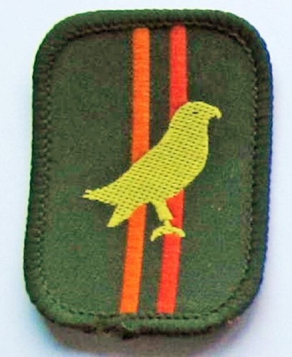 Scout patrol badge falcon - badge,