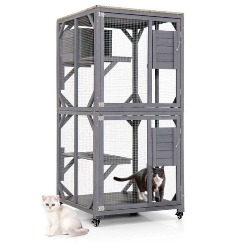 Wooden cat house kitten - cat,