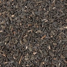 Black Sunflower Seeds - Premium Wild Bird Food Gardens Feeds