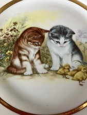 Tdg3 Vintage Gorgeous Kittens And Baby Chicks Collector Plate A J L Stoke Trent