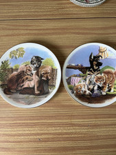 Royal Albert Playful Friends