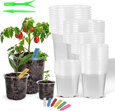 60 Clear Nursery Pots with