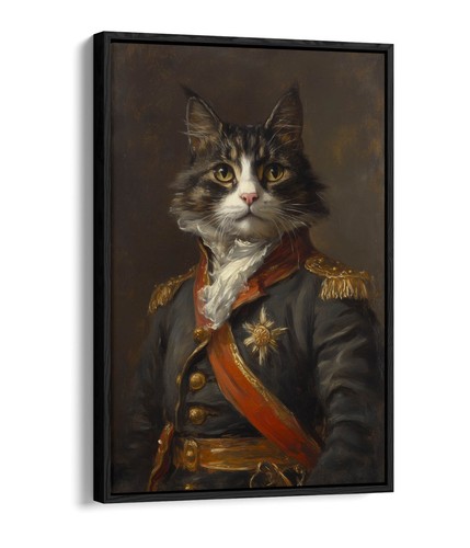 Cat napoleon style - napoleon,