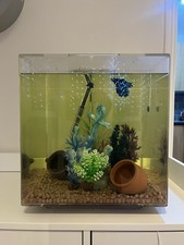 BiOrb Cube 60L Aquarium Fish