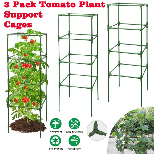 3pcs tomato cage square - 3pcs, plant