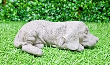 Dog 5cm 18cm 11cm - dog, x