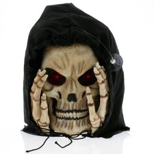 Scary Peeper Light-Up Reaper