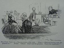 Barrister Law Wig & Gown