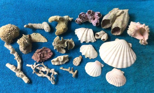 Pieces vintage natural - pieces,