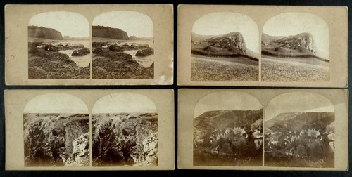 Shaldon teignmouth giant rock - teignmouth,