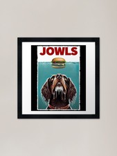 Funny Field Spaniel and