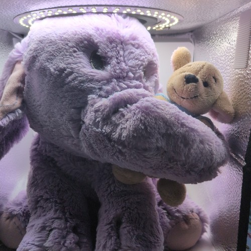 Disney store lumpy roo - store,
