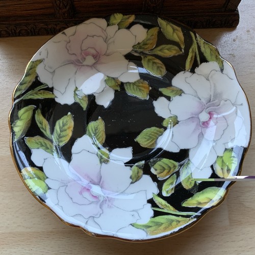 Paragon contesse bone china - contesse,
