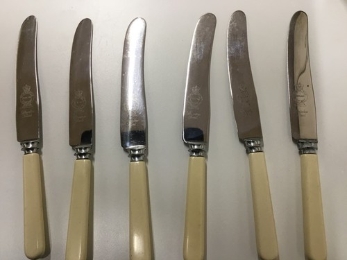 Vintage bone handle butter - vintage,