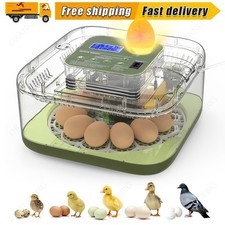 Egg Incubators for Hatching