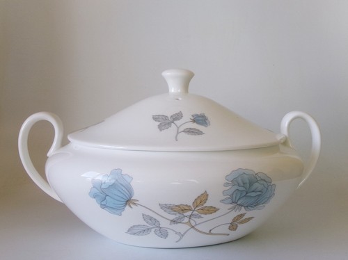Wedgwood ice covered - ice,