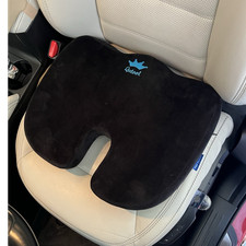 Seat Cushion