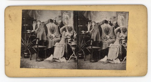 Stereoview stereoscope card - stereoview,