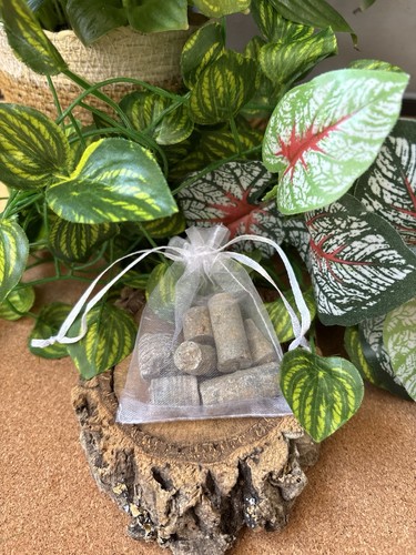 50g moroccan crinoid stem - 50g,
