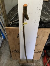 Blackthorn SHANK WALKING STICK