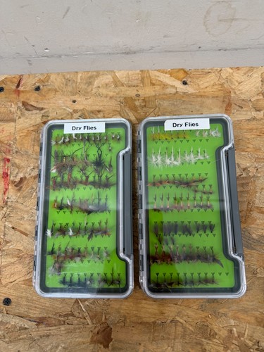 Fly trout fishing - trout,