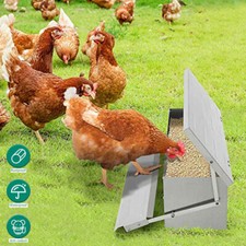 Automatic Chicken Feeder