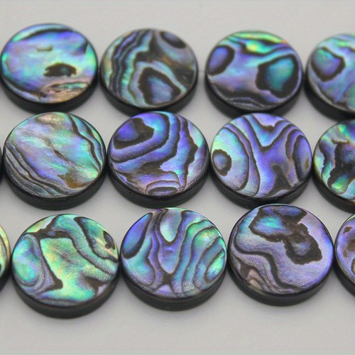 Round natural abalone shell - 2x,