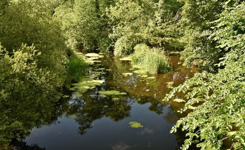 Photo 6x4 the river lagan - photo,