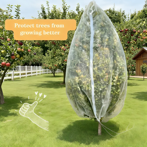 Garden plant tree fruit - plant,