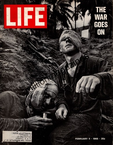 1966 life february - 1966, viet