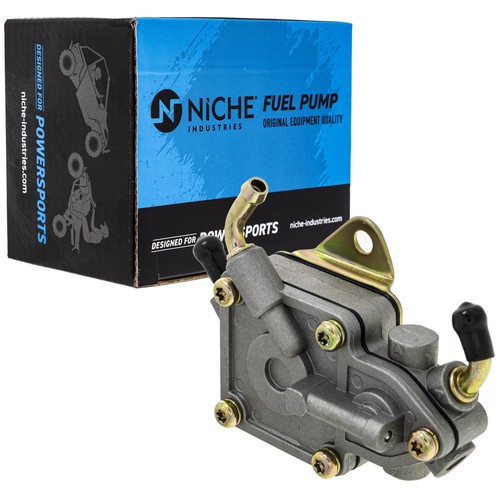 Niche fuel pump assembly - fuel,