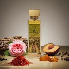 SWISS ARABIAN | ENIGMA OF TAIF