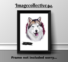 ALASKAN HUSKY  DOG PET A4