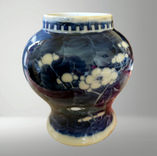 Antique Chinese Prunus Ginger