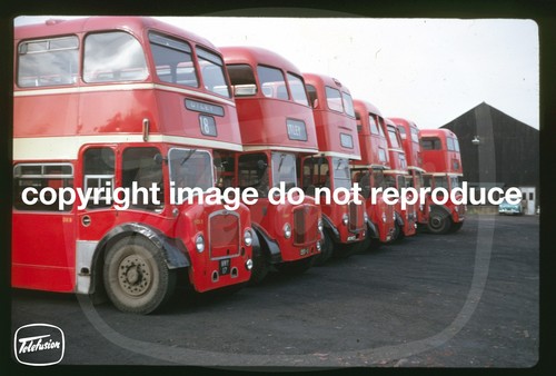 Copy bus slide - copy,
