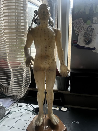 Large 55cm traditional - large,