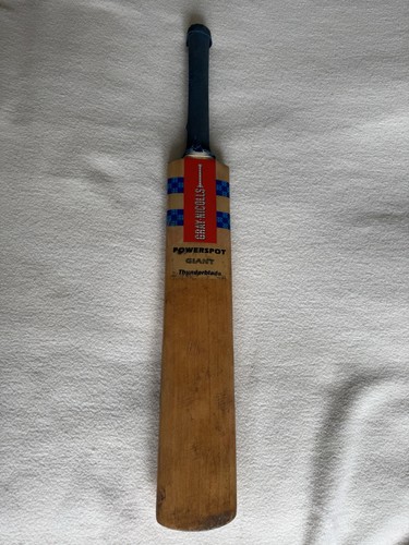 Gray nicolls cricket - cricket, bat