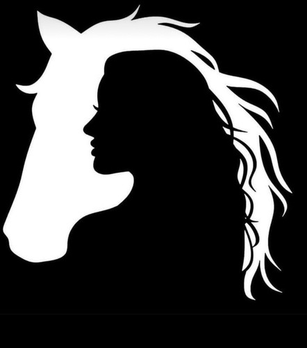 Horse vinyl car decal - car,