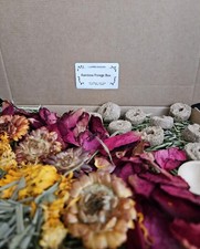 Pet Forage Box Rabbit Guinea