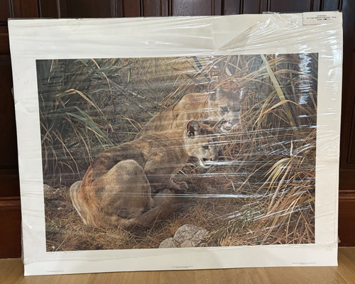 Carl brenders hand signed - hand,