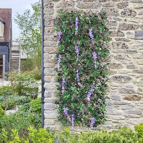 Pretty wisteria garden trellis - wisteria,