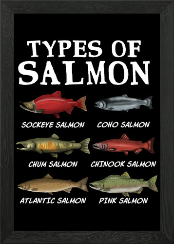 Salmon fishing framed wall - fishing, art