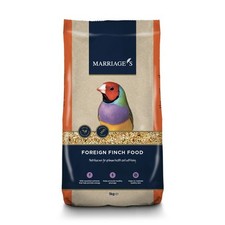 Marriage foreign finch bird - foreign,