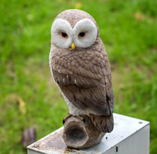 Big size owl resin plaster - owl, resin,