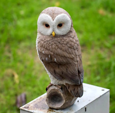 Big Size Owl Resin, plaster
