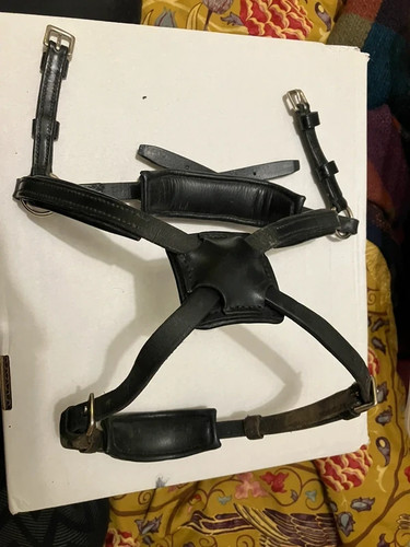 Grackle noseband for fairfax - grackle,