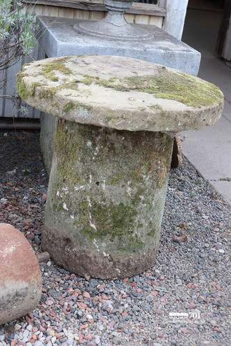 Pair rare reclaimed huge - reclaimed,